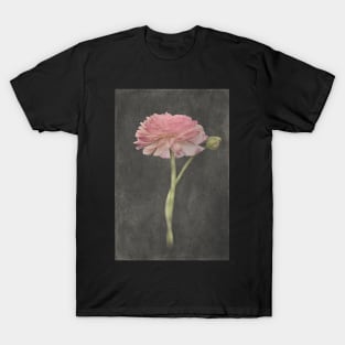 Fluer d'Armour Ranunculus T-Shirt